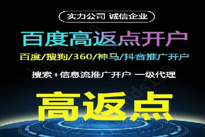 成功案例：网络推广与竞价广告的完美结合