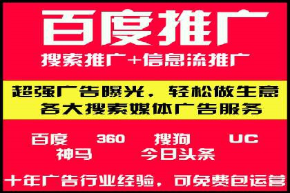 某某企业SEM推广成功案例：打造品牌营销新模式